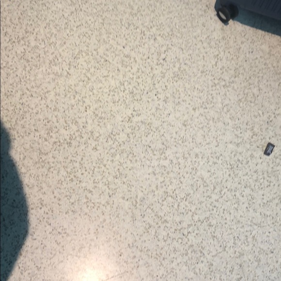 asternlicht